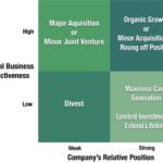 Chapter 4: Strategy and Strategic Planning – Strategic Marketing in the ...